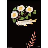 �������ӡ��ްƥݥ����� 1 FISH